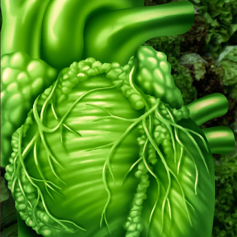 ¿Cómo podemos comer fuera de casa y no consumir tantas calorías de más?